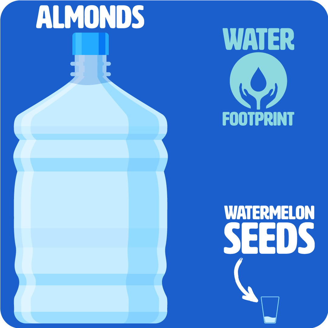 Graphic illustrating the low water footprint of watermelon seeds when compared to almonds